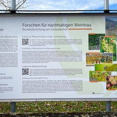 23-03-13 11-05-57 4834